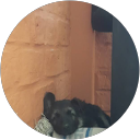 Serine Cho profile picture