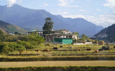 tara haven hotel image 19 scaled 1.jpg