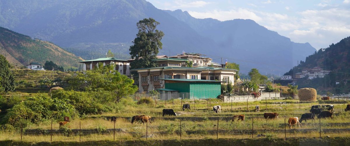 tara haven hotel image 19 scaled